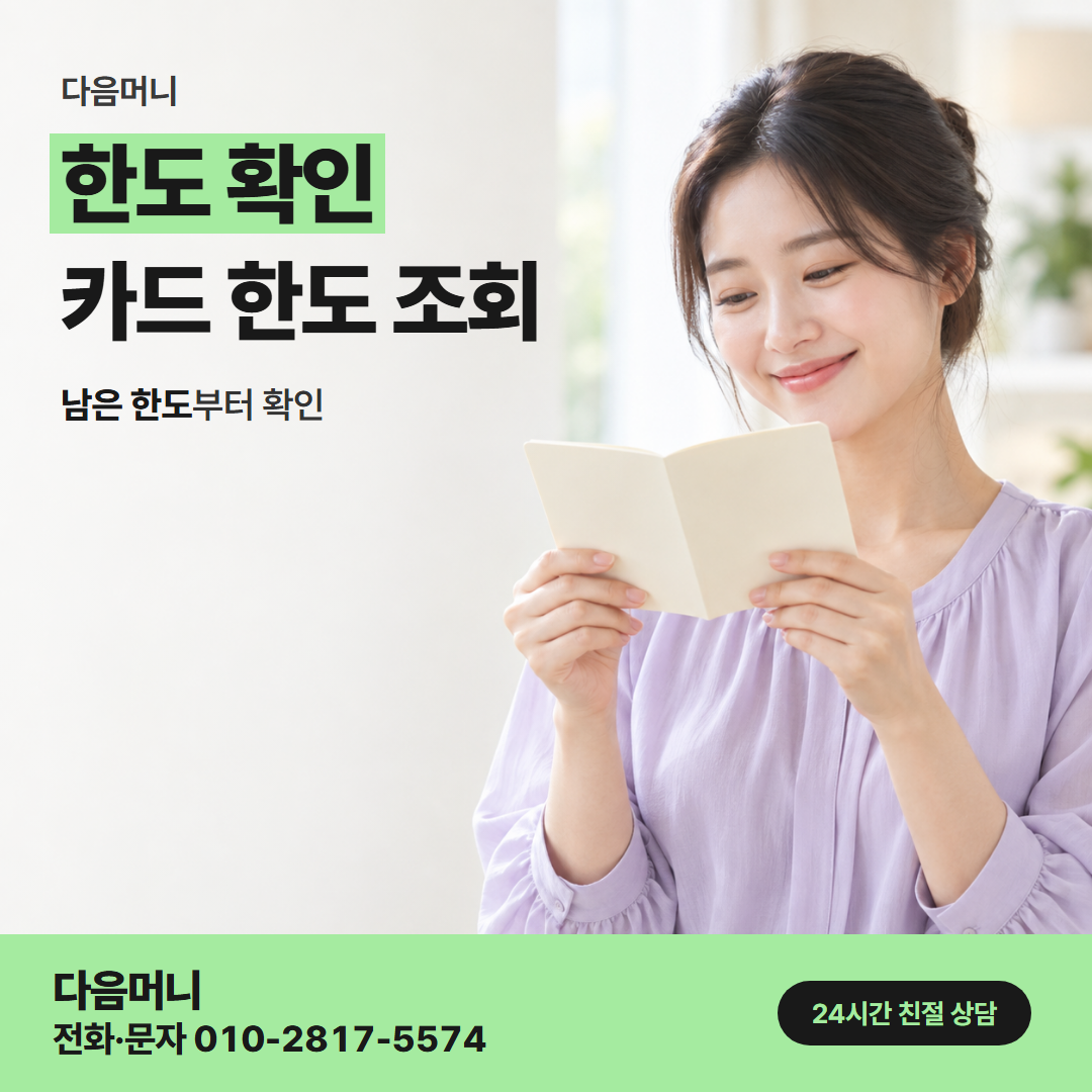 다음머니 밀양카드깡 일시불과 할부에서 같은 한도 차감